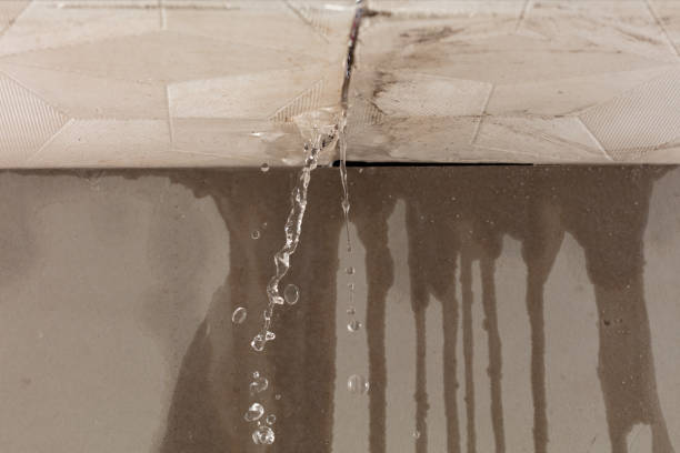 Professional Structural Drying technician working in Masontown, PA